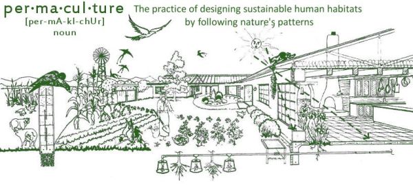 Illustration of permaculture and urban farming...